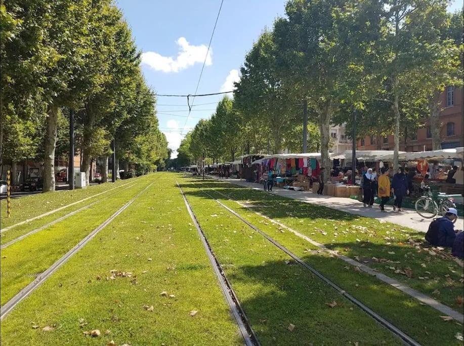 Le Studio Jardin D'Eden Metro Palais De Justice Lejlighed Toulouse Eksteriør billede